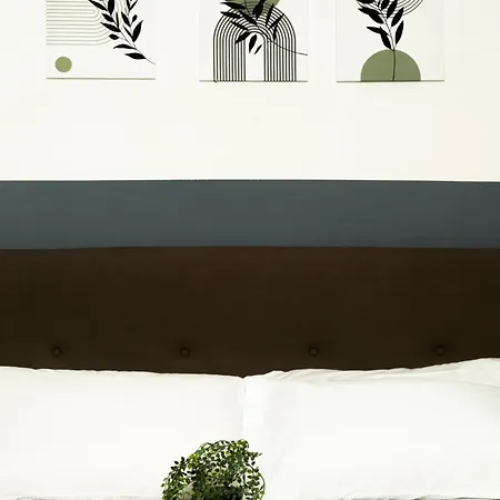 Lorenzo's In Vatican Roma